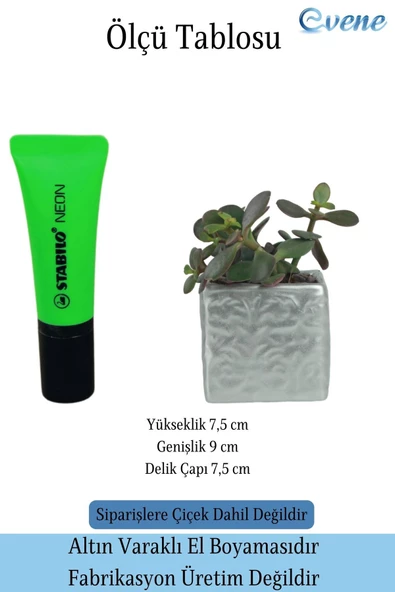 Evene Saksı Dekoratif Saksı Kaktüs Saksısı Sukulent Saksısı Küçük Saksı Model 45 Gümüş Saksı - Resim 2