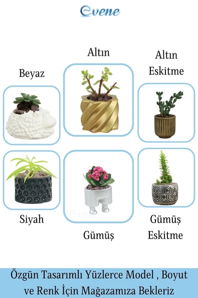 Evene Saksı Dekoratif Saksı Kaktüs Saksısı Sukulent Saksısı Küçük Saksı Model 41 Gümüş Saksı - Resim 8