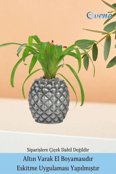 Evene Ahşap Ayaklı Beton Saksı Büyük Boy 1 Adet Gümüş Varak Boyalı Eskitmeli Ananas Model - Resim 5