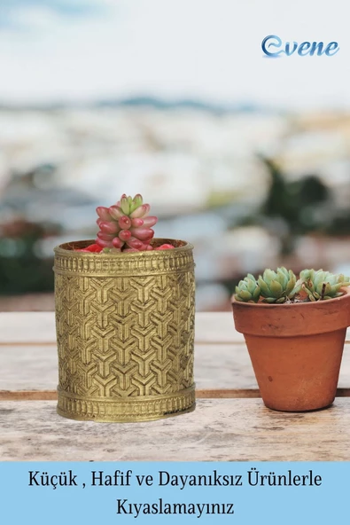 Evene Saksı Dekoratif Saksı Kaktüs Saksısı Sukulent Saksısı Küçük Saksı Model 42 Altın Saksı - Resim 3