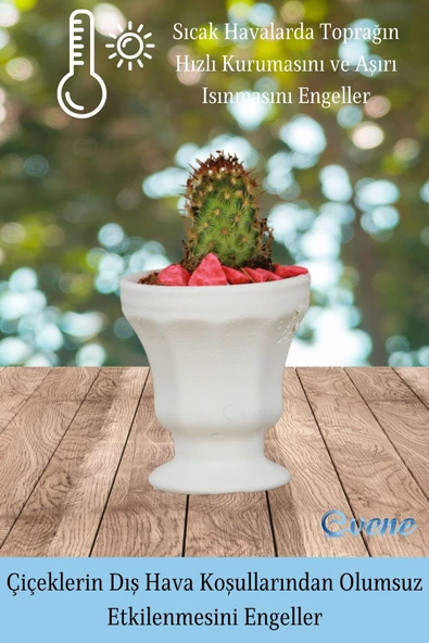 Evene Saksı Dekoratif Saksı Kaktüs Saksısı Sukulent Saksısı Küçük Saksı Model 38 Beyaz Saksı - Resim 4