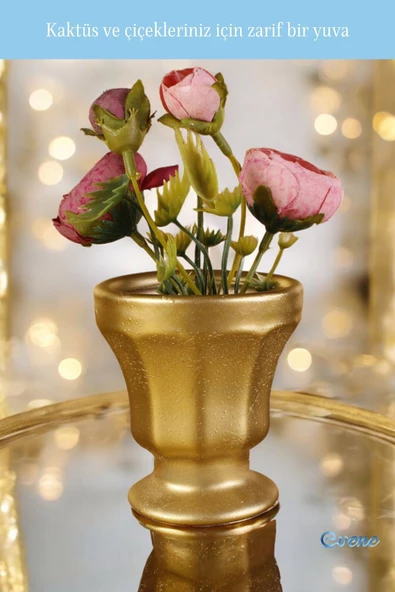 Evene Saksı Dekoratif Saksı Kaktüs Saksısı Sukulent Saksısı Küçük Saksı Model 38 Altın Saksı - Resim 4