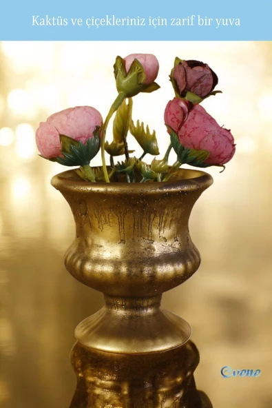 Evene Saksı Dekoratif Saksı Kaktüs Saksısı Sukulent Saksısı Küçük Saksı Model 33 Gold Saksı - Resim 4