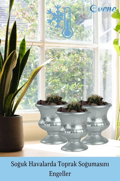 Evene Saksı Dekoratif Saksı Kaktüs Saksısı Sukulent Saksısı Küçük Saksı Model 33 Gümüş Saksı - Resim 5