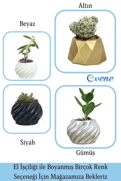 Evene Saksı Dekoratif Saksı Kaktüs Saksısı Sukulent Saksısı Küçük Saksı Model 4 Siyah Saksı - Resim 7