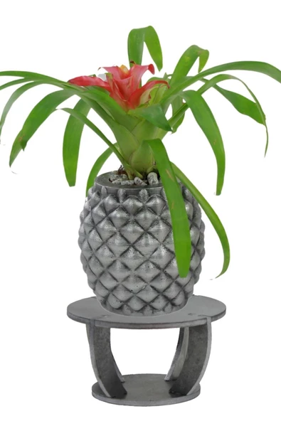 Evene Ahşap Ayaklı Beton Saksı Büyük Boy 1 Adet Gümüş Varak Boyalı Eskitmeli Ananas Model ürün görseli 1