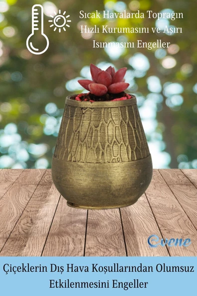 Evene Saksı Dekoratif Saksı Kaktüs Saksısı Sukulent Saksısı Küçük Saksı Model 35 Altın Saksı - Resim 4