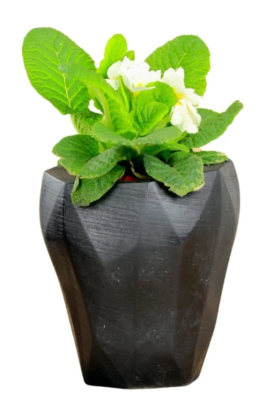 Evene Saksı Büyük Saksı Çiçek Saksısı Büyük Boy Saksı Salon Saksısı Model 9 Siyah Saksı ürün görseli 1