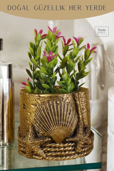 Stein Kohle Dekoratif Saksı Minik Kaktüs Saksısı Altın Eskitme Renk 1 Adet Deniz Ürünlü Model - Resim 5