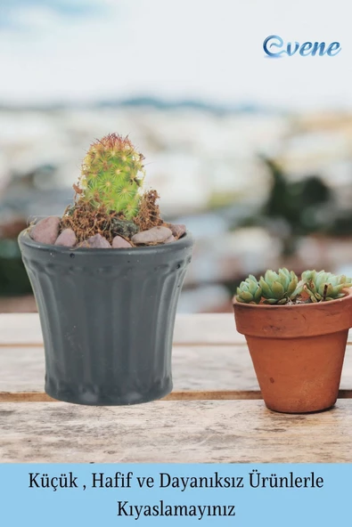 Evene Saksı Dekoratif Saksı Kaktüs Saksısı Sukulent Saksısı Küçük Saksı Model 40 Siyah Saksı - Resim 4