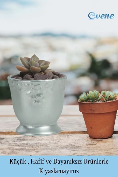 Evene Saksı Dekoratif Saksı Kaktüs Saksısı Sukulent Saksısı Küçük Saksı Model 32 Gümüş Saksı - Resim 3