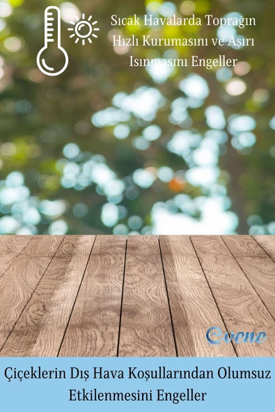 Evene Saksı Dekoratif Saksı Kaktüs Saksısı Sukulent Saksısı Küçük Saksı Model 35 Siyah Gümüş Saksı - Resim 4