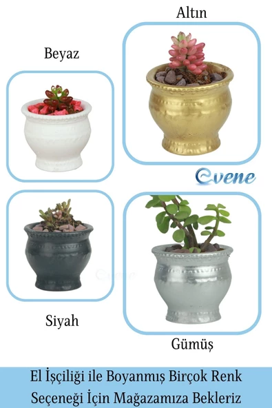 Evene Saksı Dekoratif Saksı Kaktüs Saksısı Sukulent Saksısı Küçük Saksı Model 43 Siyah Saksı - Resim 7