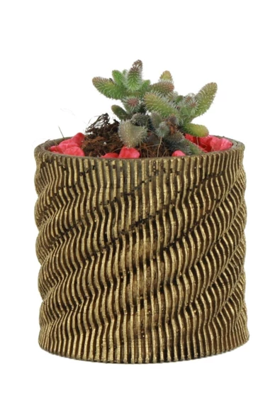 Evene Saksı Dekoratif Saksı Kaktüs Saksısı Sukulent Saksısı Küçük Saksı Model 39 Altın Saksı ürün görseli 1