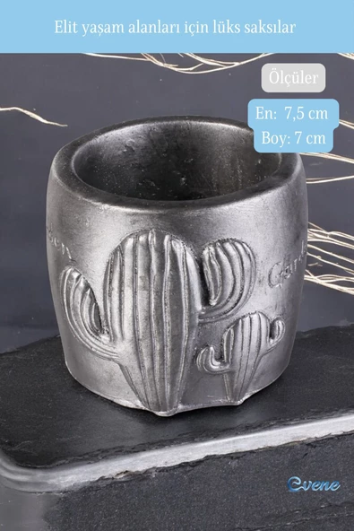 Evene Saksı Dekoratif Saksı Kaktüs Saksısı Sukulent Saksısı Küçük Saksı Model 21 Gümüş Eskitme Saksı - Resim 2