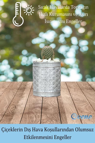 Evene Saksı Dekoratif Saksı Kaktüs Saksısı Sukulent Saksısı Küçük Saksı Model 42 Siyah Gümüş Saksı - Resim 4