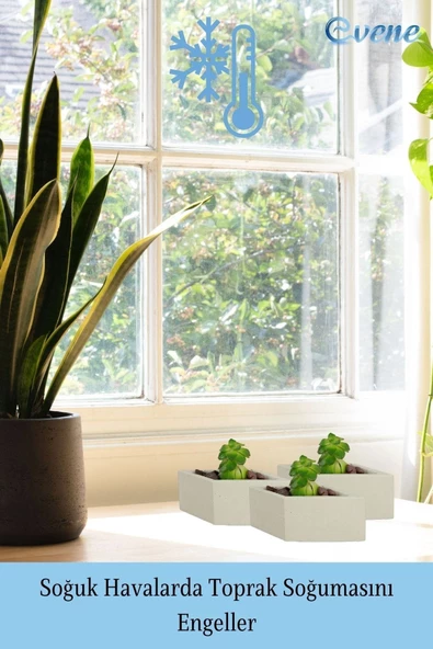 Evene Mini Çiçek Saksı Küçük Sukulent Beyaz Kaktüs Saksısı Dörtgen Yatay Model - Resim 5