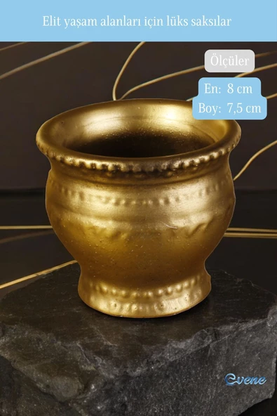 Evene Saksı Dekoratif Saksı Kaktüs Saksısı Sukulent Saksısı Küçük Saksı Model 43 Gold Saksı - Resim 2