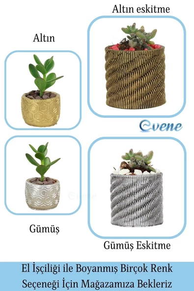 Evene Saksı Dekoratif Saksı Kaktüs Saksısı Sukulent Saksısı Küçük Saksı Model 39 Altın Saksı - Resim 7