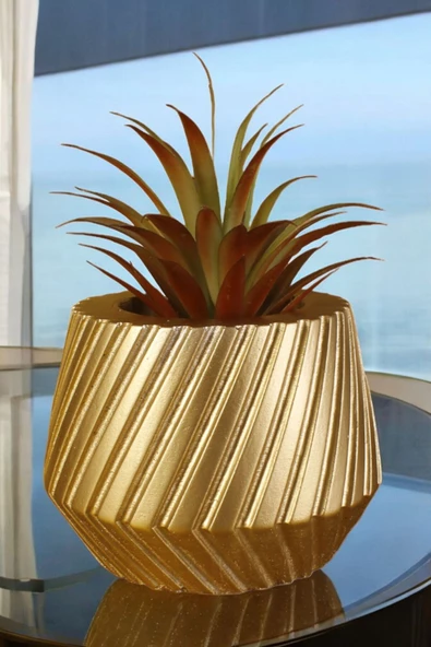 Stein Kohle Çiçek Saksısı Dekoratif Kaktüs Saksı 1 Adet Altın Renk Uygulamalı Dişli Model ürün görseli 1