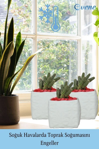 Evene Saksı Dekoratif Saksı Kaktüs Saksısı Sukulent Saksısı Küçük Saksı Model 45 Beyaz Saksı - Resim 5