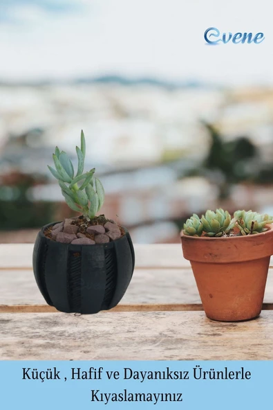 Evene Saksı Dekoratif Saksı Kaktüs Saksısı Sukulent Saksısı Küçük Saksı Model 41 Siyah Saksı - Resim 3