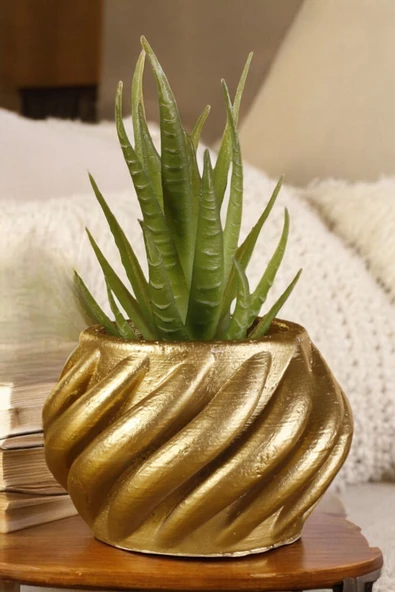 Stein Kohle Dekoratif Saksı Minik Kaktüs Saksısı Altın Renk 1 Adet Kalın Çizgili Spiral Model ürün görseli 1