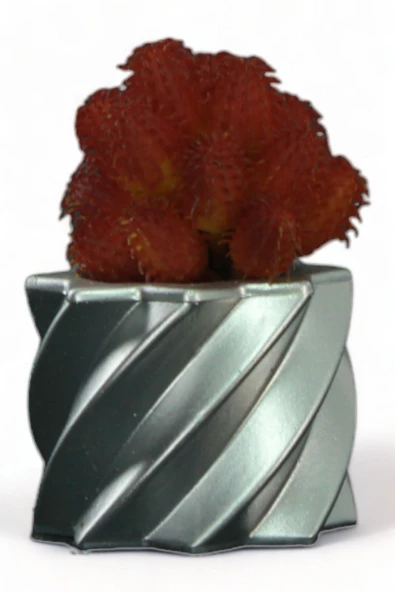 Evene Saksı Dekoratif Saksı Kaktüs Saksısı Sukulent Saksısı Küçük Saksı Model 9 Gümüş Saksı ürün görseli 1