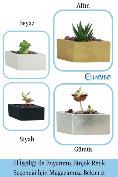 Evene Saksı Dekoratif Saksı Kaktüs Saksısı Sukulent Saksısı Küçük Saksı Model 19 Siyah Saksı - Resim 7