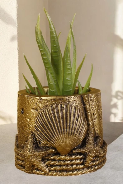 Stein Kohle Dekoratif Saksı Minik Kaktüs Saksısı Altın Eskitme Renk 1 Adet Deniz Ürünlü Model ürün görseli 1