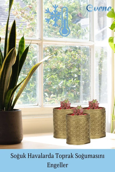 Evene Saksı Dekoratif Saksı Kaktüs Saksısı Sukulent Saksısı Küçük Saksı Model 42 Altın Saksı - Resim 5