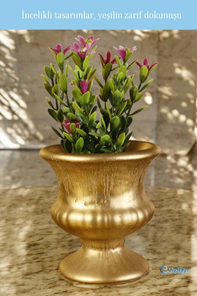 Evene Saksı Dekoratif Saksı Kaktüs Saksısı Sukulent Saksısı Küçük Saksı Model 33 Altın Saksı - Resim 5