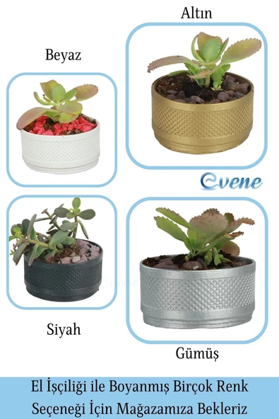 Evene Saksı Dekoratif Saksı Kaktüs Saksısı Sukulent Saksısı Küçük Saksı Model 46 Siyah Gümüş Saksı - 7