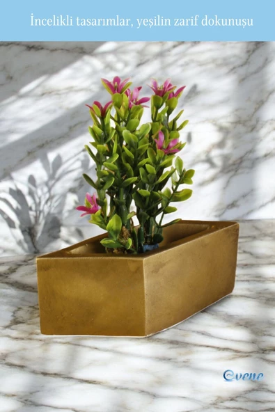 Evene Mini Çiçek Saksı Küçük Sukulent Altın Eskitme Kaktüs Saksısı Dörtgen Yatay Model - Resim 5