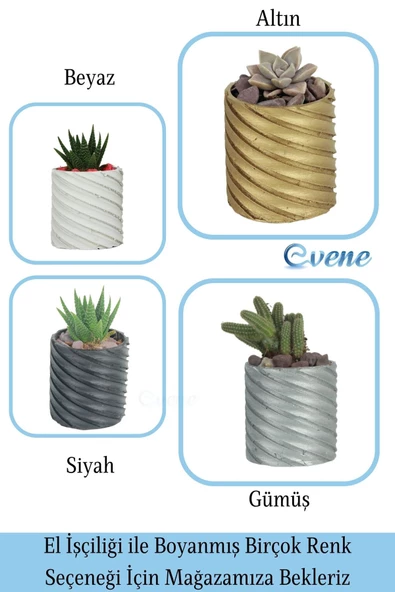 Evene Saksı Dekoratif Saksı Kaktüs Saksısı Sukulent Saksısı Küçük Saksı Model 37 Siyah Gümüş Saksı - Resim 7