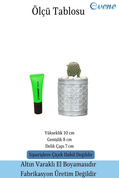 Evene Saksı Dekoratif Saksı Kaktüs Saksısı Sukulent Saksısı Küçük Saksı Model 42 Siyah Gümüş Saksı - Resim 2