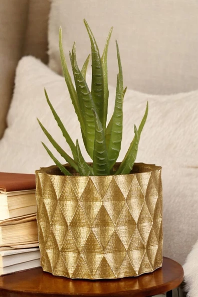 Stein Kohle Dekoratif Saksı Minik Kaktüs Saksısı Altın Renk 1 Adet Baklava Model ürün görseli 1