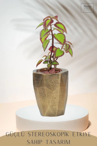 Stein Kohle Çiçek Saksısı Büyük Boy 1 Adet Altın Renk Eskitme Uygulamalı Uzun Poly Model - Resim 4