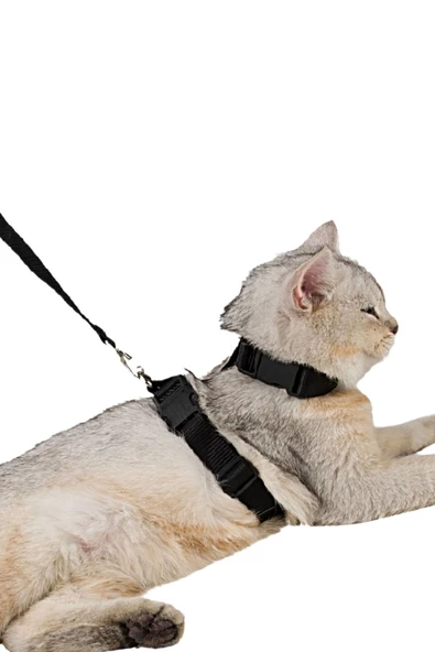 Pandogo Kedi Gezdirme Tasması Sevk Kayışlı Siyah ürün görseli 1