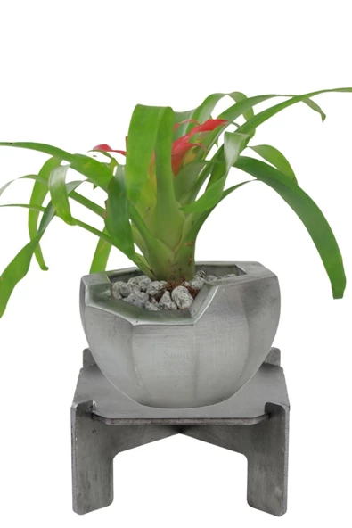 Stein Kohle Ayaklı Saksı Ahşap Büyük Boy 1 Adet Gümüş Renk Eskitme Uygulamalı Önü Açık Model ürün görseli 1