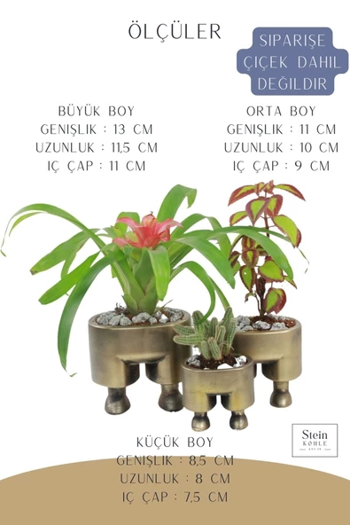 Stein Kohle Çiçek Saksısı Büyük Boy 3 Adet Altın Renk Eskitme Uygulamalı Pantolon Model - 2