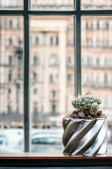 Viselia Kaktüs Saksısı Sukulent El Yapımı Saksı Balkon Çiçek Saksısı Ev Saksısı Saksı Model 9 Gümüş - Resim 4