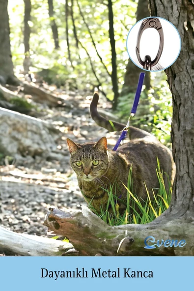 Evene Kedi Tasması Kedi Göğüs Bel Ayarlanabilir Dayanıklı Sağlam Tasma 1 cm İnce Kolon Mor - 3
