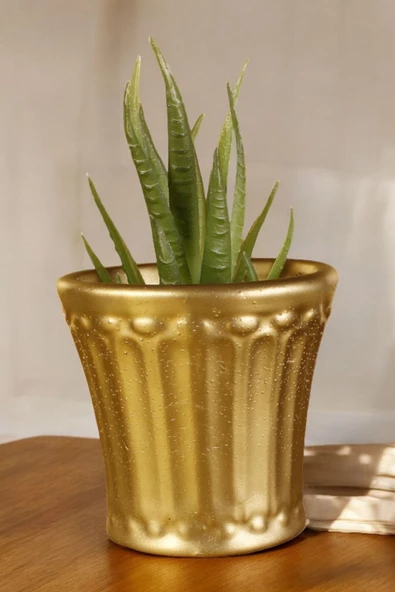 Stein Kohle Dekoratif Saksı Minik Kaktüs Saksısı Altın  Renk Model 40