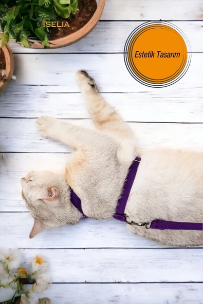 Viselia Kedi Tasması Boyun Göğüs Ayarlanabilir Sevk Kayışlı Gezdirme Seti - Resim 2