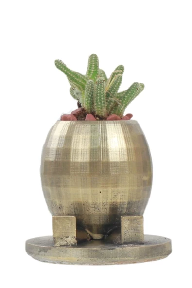 Stein Kohle Çiçek Saksısı Dekoratif Kaktüs Saksı 1 Adet Altın Renk Eskitme Uygulamalı Yuvarlak Ayaklı Model ürün görseli