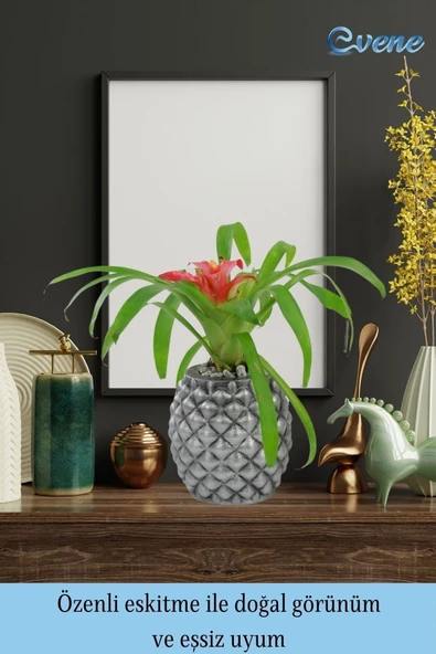 Evene Saksı Çiçek Kaktüs Saksısı Lüx 15 Cm Gümüş Eskitme Varak Boyalı Ananas Desenli 2'li Set Çiçeklik - 8