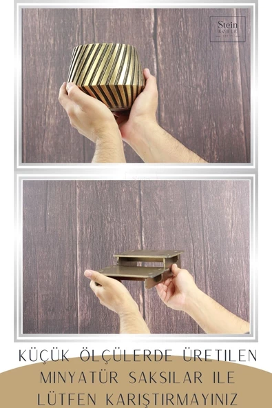 Stein Kohle Ayaklı Saksı Ahşap Büyük Boy 2 Adet Altın Renk Eskitme Uygulamalı Dişli Model - Resim 3