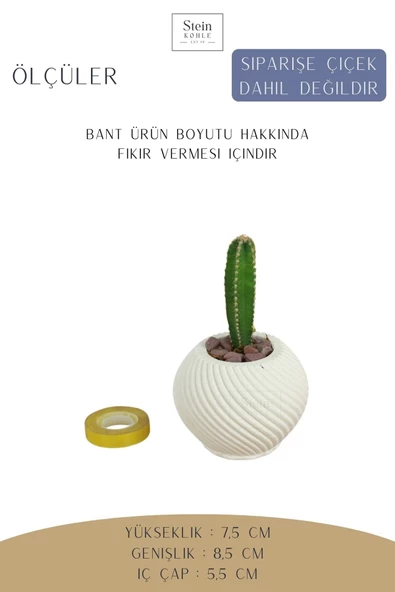 Stein Kohle Dekoratif Saksı Minik Kaktüs Saksısı Beyaz Renk 1 Adet Ince Çizgili Spiral Model - Resim 2