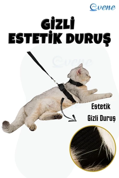 Evene Kedi Tasması Kedi Göğüs Bel Ayarlanabilir Dayanıklı Sağlam Tasma Siyah - 7